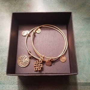 Alex and Ani Path of Life & Endless Knot Bracelets
